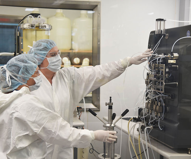 Chromatography purification system