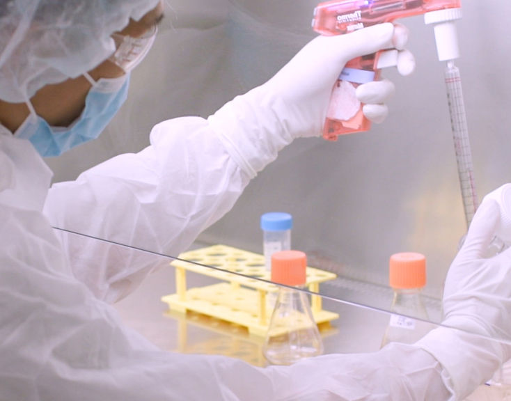 Mammalian cell culture in biosafety cabinet