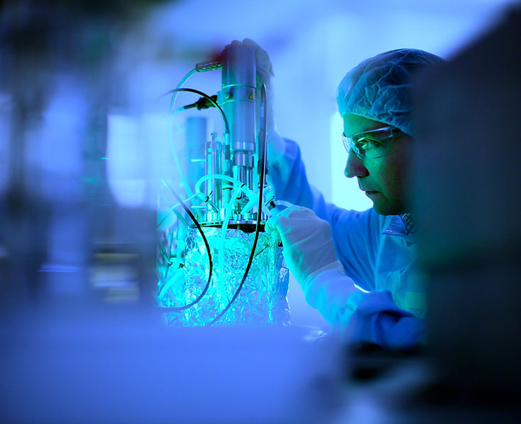 Researcher monitoring bioreactor