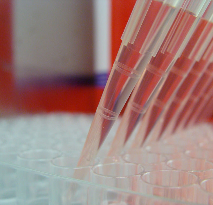Pipette tips in microplate well