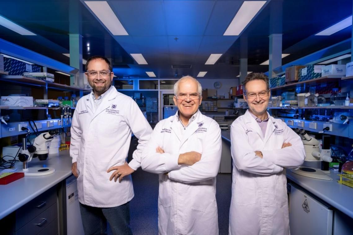 Funnel-web venom clinical trial