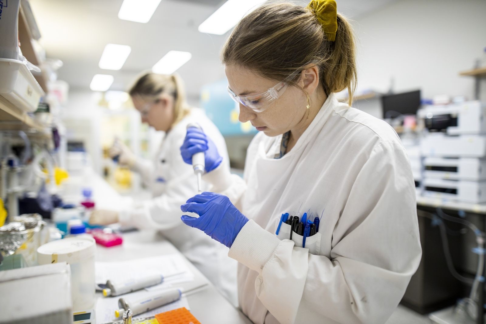 Researchers running an antibody discovery campaign